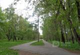 Труп повешенного мужчины обнаружен в Череповецком парке 