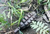 В парке Мира города Вологды найдена граната