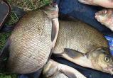 Рыбака-браконьера поймали на Вологодчине во время операции «Нерест»