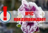 Внимание! Важное оповещение МЧС : заморозки в Вологодской области 