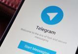 Депутаты Госдумы посмеялись над Роскомнадзором, который не может заблокировать Telegram