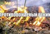 Внимание ! особый противопожарный режим вводится в Бабаевском и Чагодощенском районах с 3 июня 