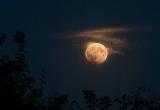Жители России сфотографировали и сняли на видео лунное затмение (ФОТО, ВИДЕО)
