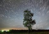 Звездопад Персеиды станет самым ярким астрономическим событием августа 