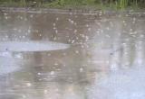 Дожди, грозы, осенняя прохлада вечерами: прогноз погоды в Вологде до выходных - лето уходит  