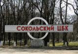 «Сокольский ЦБК» получил 21 миллион рублей прибыли, хотя еще полтора года назад находился в тяжелом состоянии
