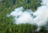 В Вологодской области второй день тушат лесной пожар