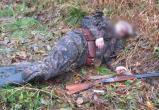 Следственный комитет возбудил уголовное дело по факту гибели браконьера в Вологодской области 