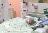 Избитый в Вологде 6-летний Степан умирает: Волонтеры организуют пикет с требованием назвать виновных в истязаниях ребенка 