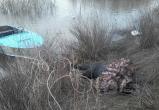 В реке Шексне обнаружен труп пенсионера: Причины трагедии не установлены