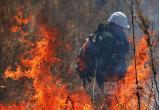 Лесные пожары больше не страшны вологжанам: На Вологодчине закончился сезон лесных пожаров