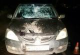 В Вологодской области пешеход разбил головой лобовое стекло "Mitsubishi Lancer" (ФОТО)