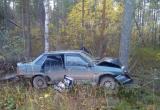 Жизнь автоледи оборвалась при столкновении с деревом: Смертельное ДТП в Вологодской области (ФОТО) 