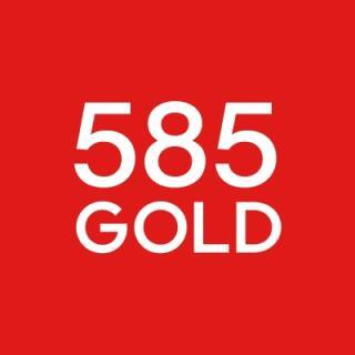 585 GOLD, Вологда