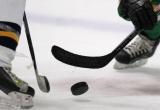 Хоккейную «Северсталь» в последнем матче года «убили» ее бывшие игроки