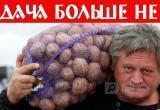 "Налог на картошку" утвержден! С марта 2019 года каждый дачник должен государству от 50 тыс. рублей или станет преступником 