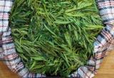 Растаман из глубинки Тарногского района за 1,7 кг марихуаны получил условный срок 