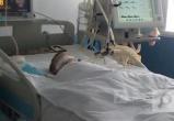 Состояние избитого в Вологде 7-летнего мальчика без изменений. Его бывшая опекунша не в СИЗО