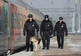 Событие дня: 18 февраля – День транспортной полиции в России
