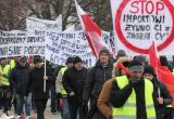 Польские фермеры протестуют. Одна из многочисленных причин - потеря российского рынка 