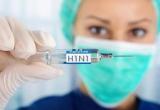 У пятерых пациентов в Вологде выявлен вирус А/Н1N1/09, который принято называть свиным гриппом