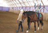 10-летний юбилей клуб отметил конно-спортивный клуб «Виват»