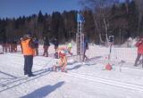 На Вологодчине прошли первые старты между сотрудниками МВД России по лыжным гонкам