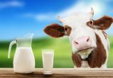Российское молоко избавят от антибиотиков