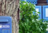 Три года условно за 200 тысяч: в Грязовецком районе осудили бывшую начальницу отделения почтовой связи