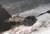 В Кич-Городецком районе провалился под лед и погиб шестилетний мальчик