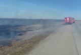 Два травяных пожара произошли за день под Череповцом, один — крупный (ФОТО)