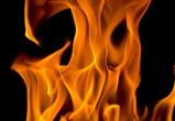 Под Устюжной в собственном сарае сгорела заживо 42-летняя женщина 