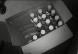 Житель Череповца продавал в своем гараже контрафактную водку