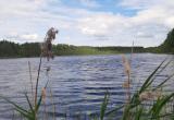 Пропавшего 70-летнего пенсионера нашли на озере в Белозерском районе 