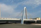 Возведение Некрасовского моста в Вологде начнется в следующем году