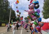 На Ильинскую ярмарку съехались гости, чтобы отметить 95-летие Никольского района