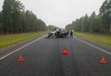 На автодороге Вологда-Тихвин произошло ДТП с несколькими автомобилями. Пострадала женщина