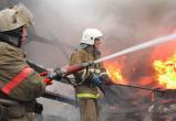 Обиделся и поджег дома. В Череповце полицейские раскрыли дело о пожарах в садоводческом товариществе