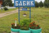 В Вологодском районе по итогам конкурса выбрали самую красивую деревню