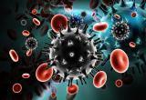 Вирус СПИДа скоро может быть обезврежен
