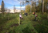 Под Белозерском благодаря «Народному бюджету» высадили новый парк
