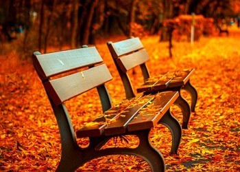  «Унылая пора» или «очей очарованье»: как сделать осень приятней