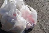 В России могут исчезнуть пластиковые пакеты
