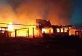 В Шекснинском районе на пожаре обгорел мужчина