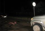 В Вологодской области водитель сбил двух подростков и сбежал