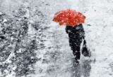В Вологде ожидается штормовой ветер и сильный дождь со снегом