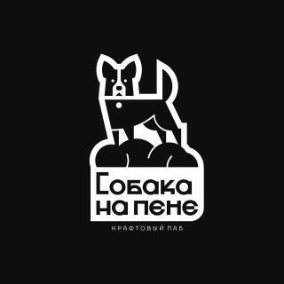 Собака на пене, Крафтовый паб, Вологда