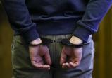 В Вологде 67-летнего мужчину с судимостью арестовали за развратные действия в отношении ребенка