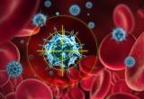 Обнаружен новый штамм ВИЧ – инфекции