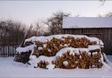 В лесничестве Череповецкого района ветерана войны хотели оставить без дров на зиму